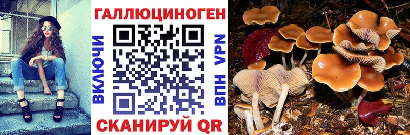 Псилоцибиновые грибы мицелий  Дзержинский 