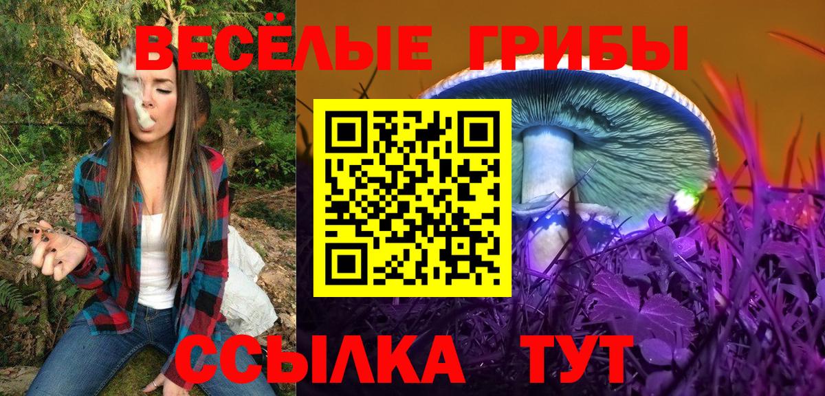 Дзержинский  Галлюциногенные грибы ЛСД  Вход с VPN 
